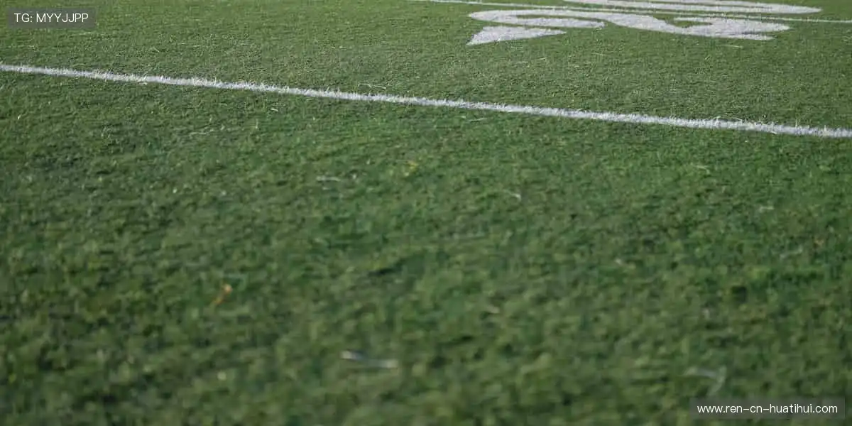 ⚾️从本土联赛到国际巅峰，我们承包你的所有热爱！🌍